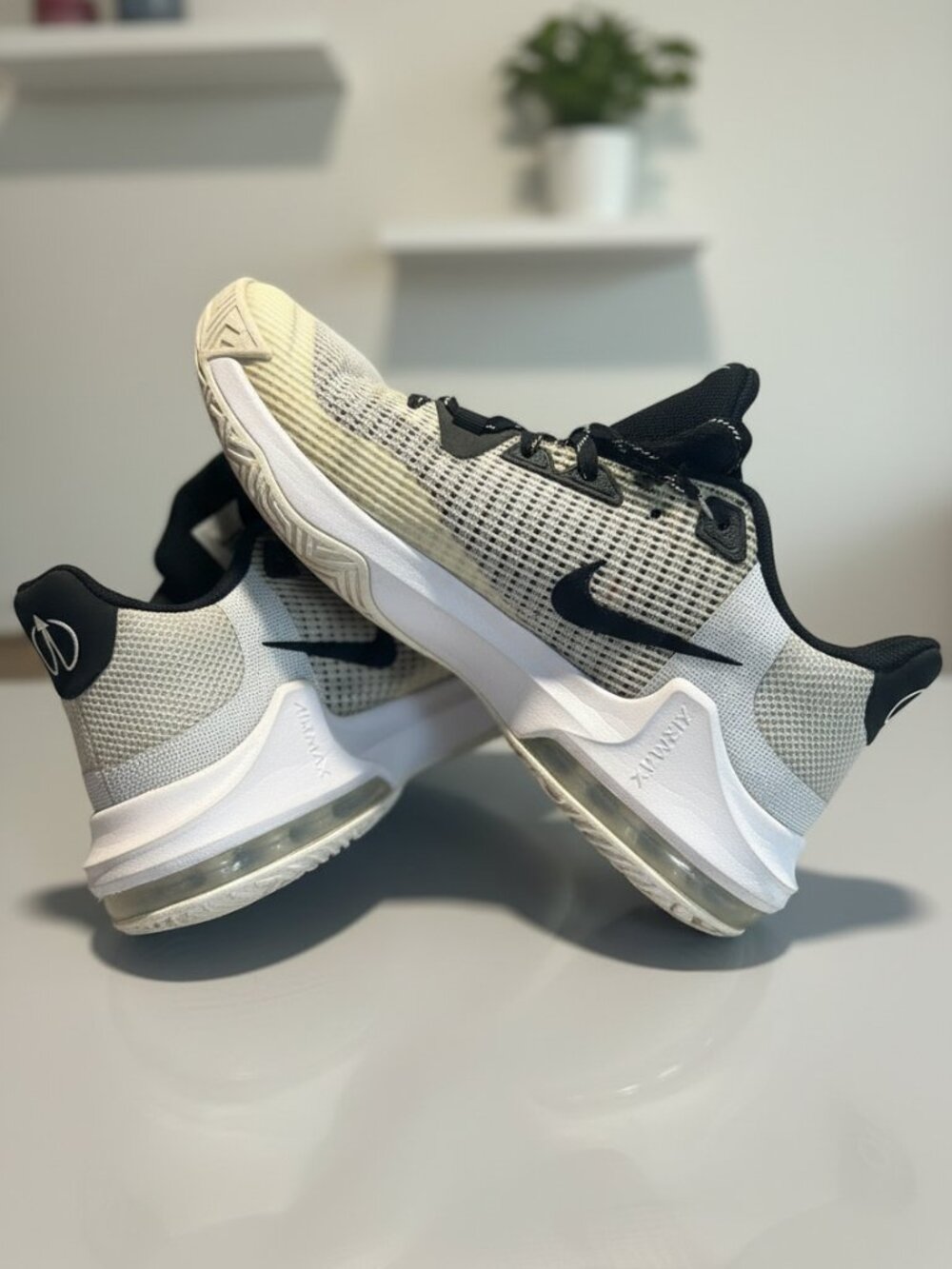 Nike Black & Beige Court Sneakers – Men’s Athletic Shoes